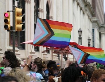 People marching and holding Pride flags